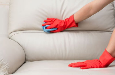 How to Remove Stains from Sofas