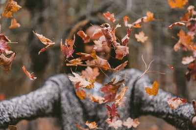 5 Ways to Prepare Your Home for Autumn